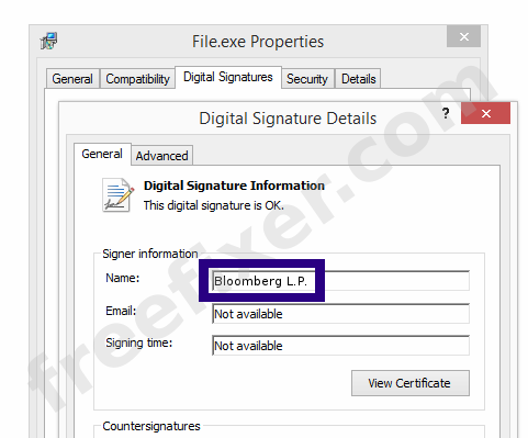 Screenshot of the Bloomberg L.P. certificate
